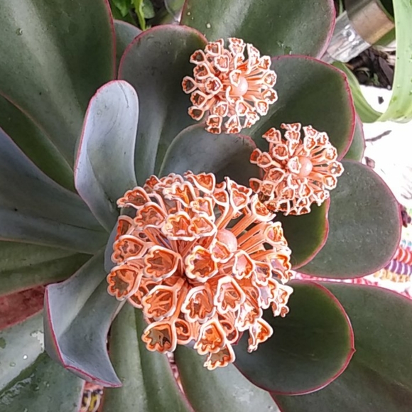 Vintage Enamel Flower Cluster Brooch Earrings Set - Picture 6 of 10